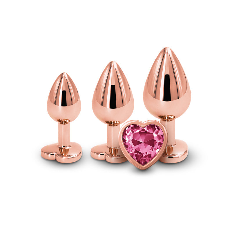 Rear Assets Trainer Kit - 3 Metallic Butt Plugs with Pink Hearts