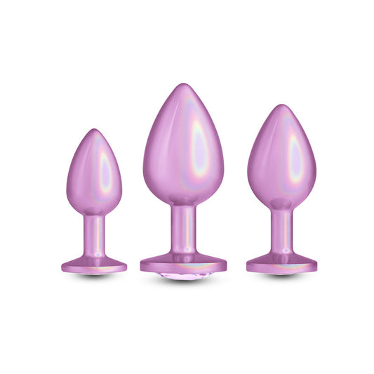 Rear Assets Trainer Kit – Metallic Butt Plug Set of 3 Sizes