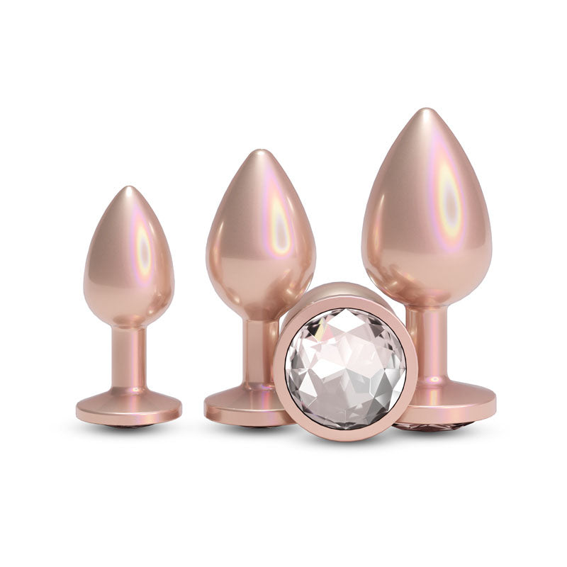 Rear Assets Trainer Kit – Set of 3 Chrome-Plated Butt Plugs in Graduated Sizes