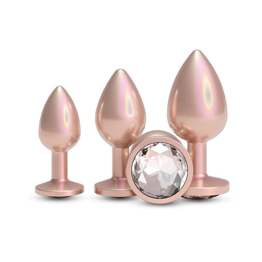Rear Assets Trainer Kit – Set of 3 Chrome-Plated Butt Plugs in Graduated Sizes
