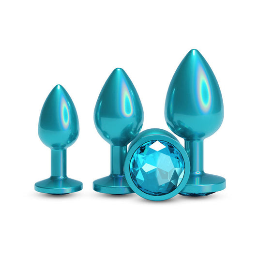 Rear Assets Trainer Kit – Set of 3 Chrome-Plated Butt Plugs