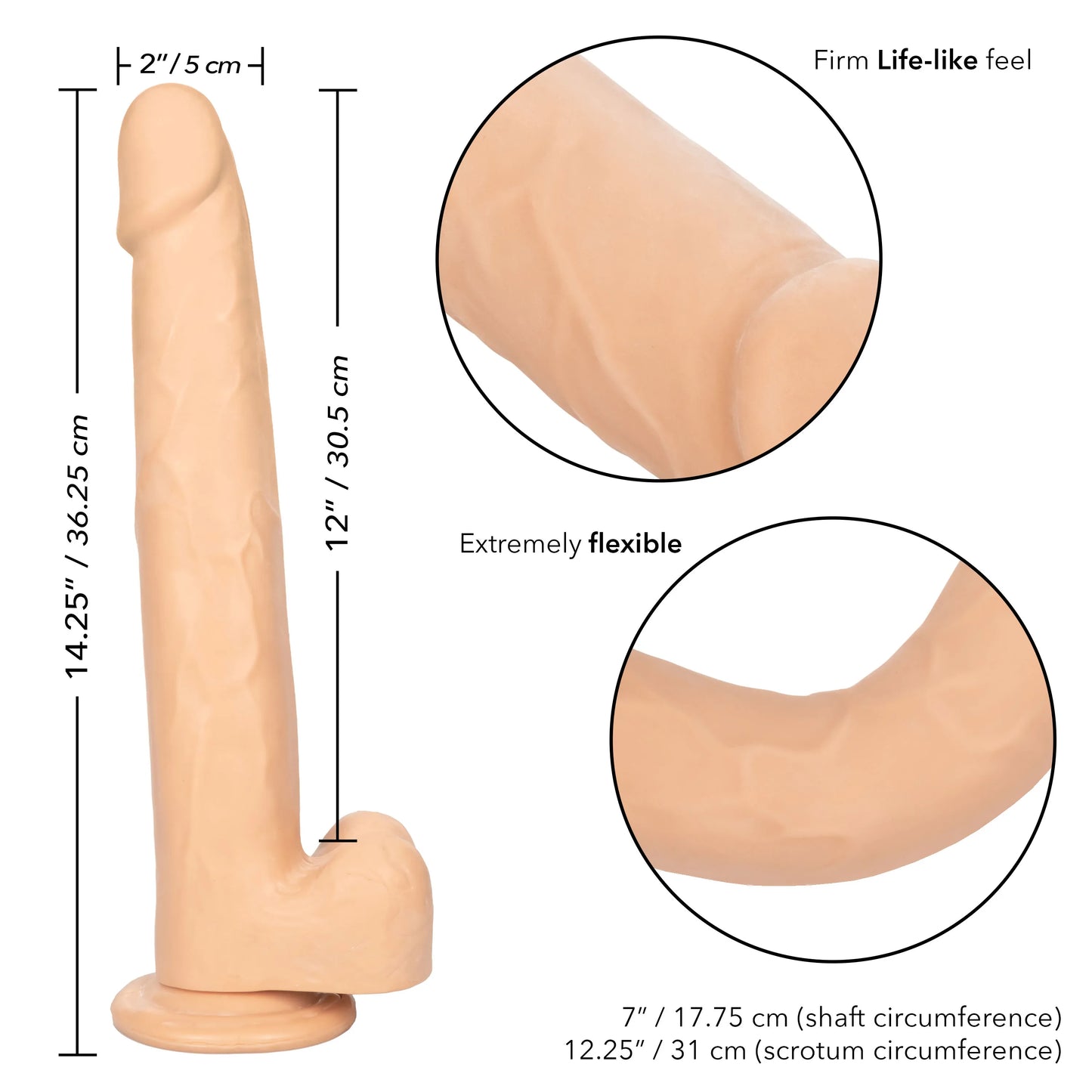 Size Queen 12 Inch Realistic Dildo – Firm 30.5 Cm Dildo