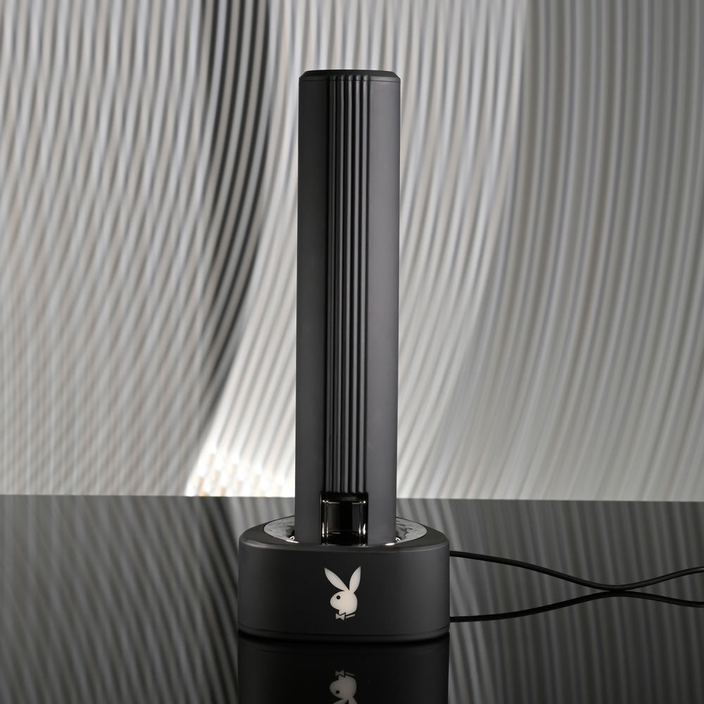 Playboy Pleasure PLEASURE ZONE Vibrator Toy