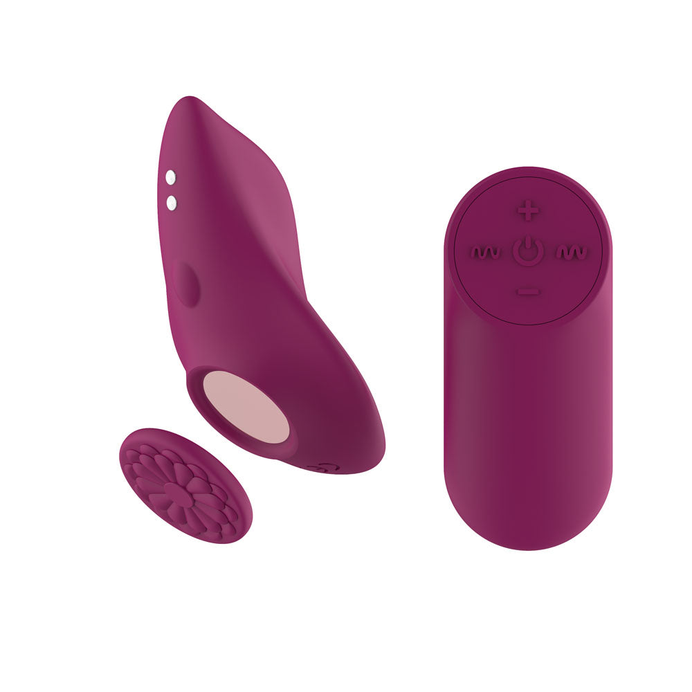 Passion Play Magnet Panty Vibe with Remote – USB Rechargeable Panty Vibrator