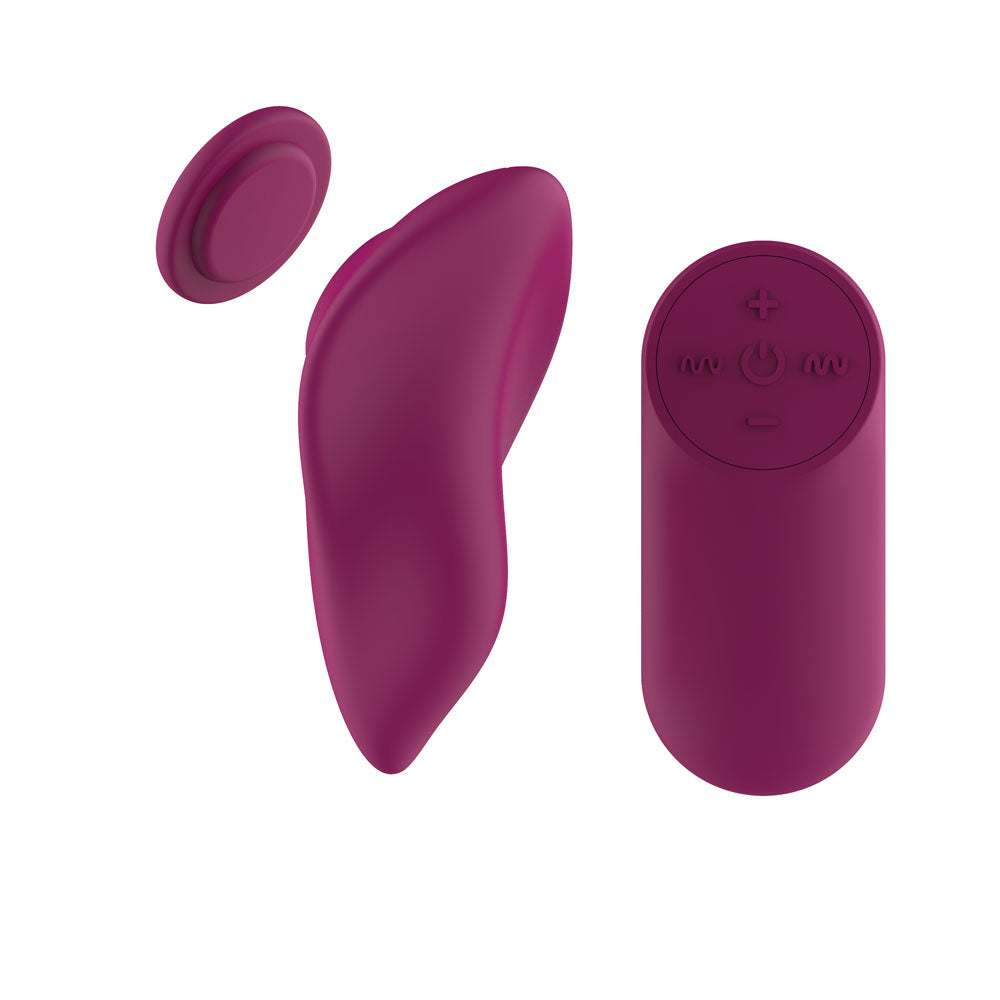 Passion Play Magnet Panty Vibe with Remote – USB Rechargeable Panty Vibrator
