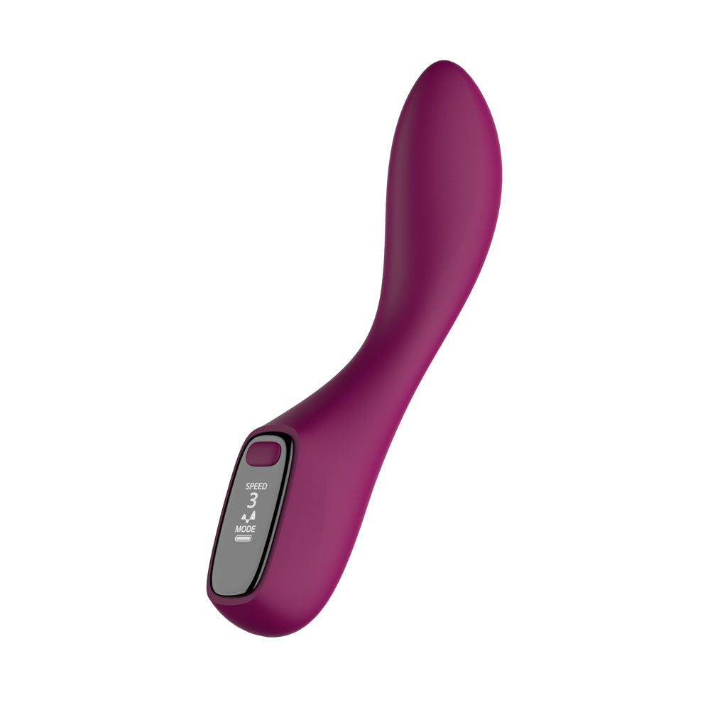 Passion Play G-Spot Vibrator with LED Light