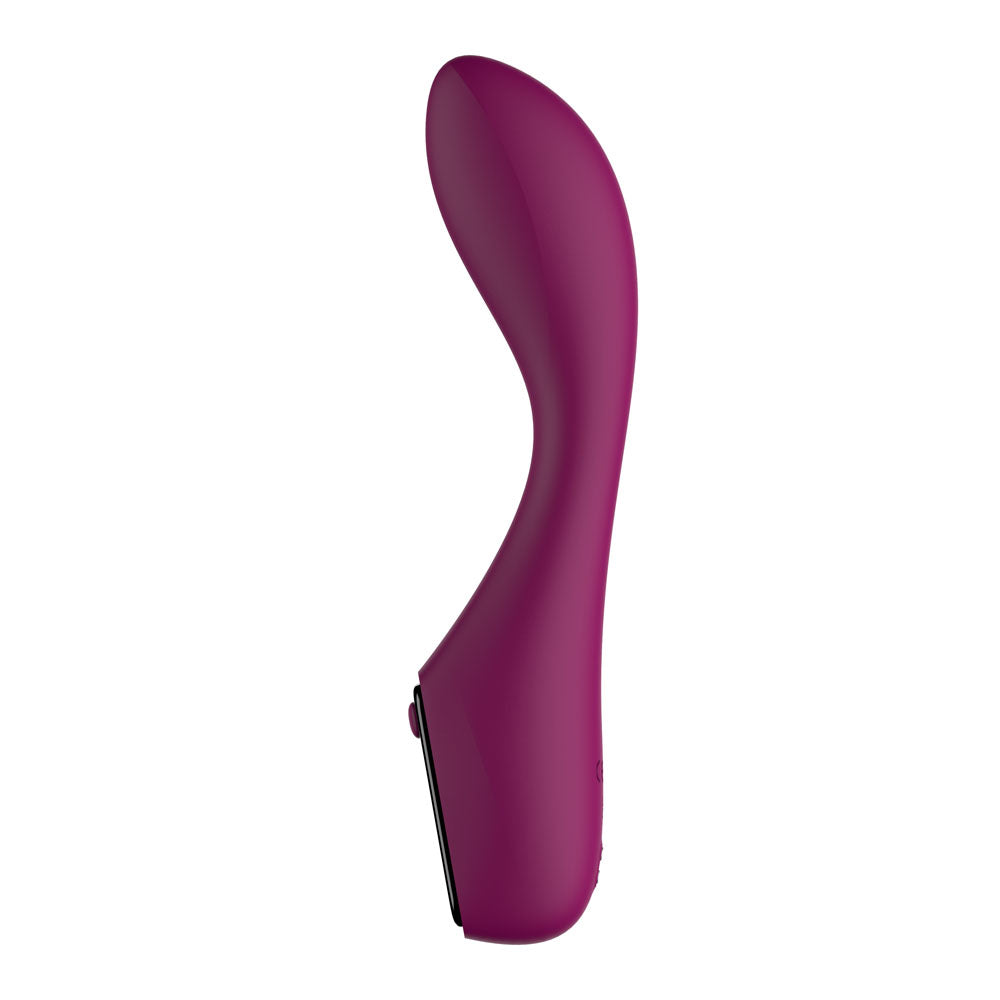 Passion Play G-Spot Vibrator with LED Light