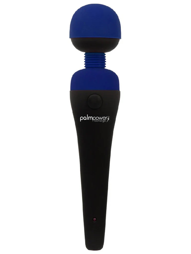 PalmPower Massage Wand Blue - Powerful Vibrator