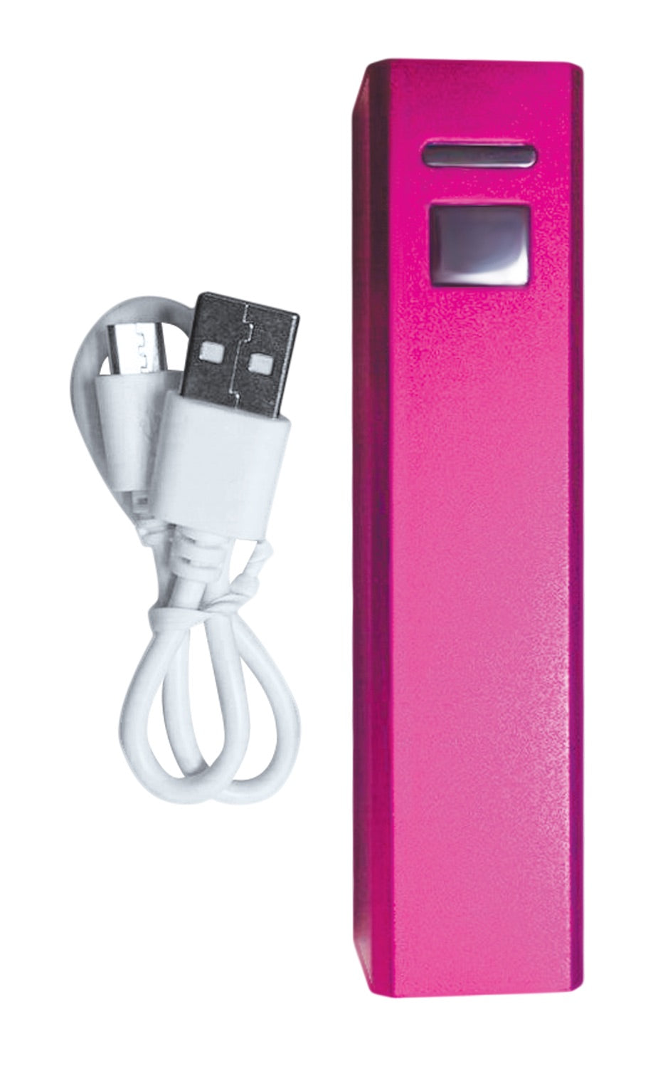 PalmPower Massage Wand Plug and Play with Power Bank