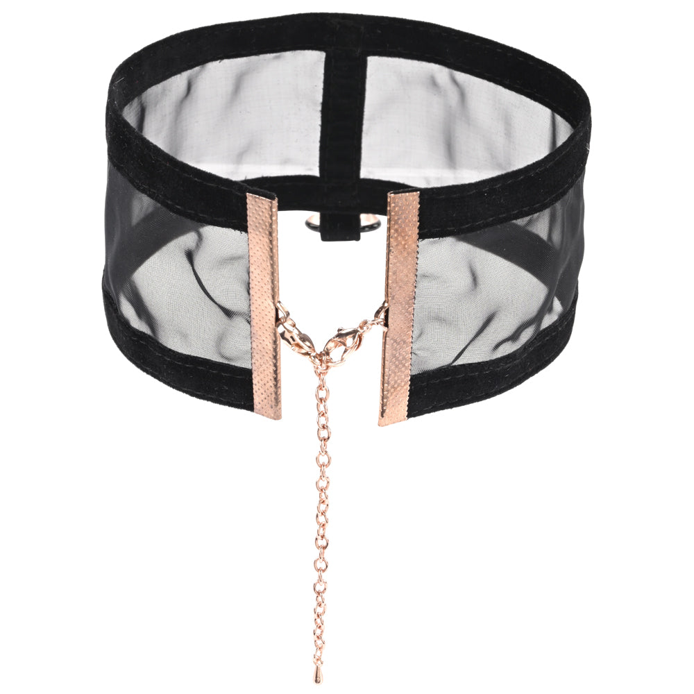 Sex and Mischief Sheer Day Collar for Sensual Sophistication