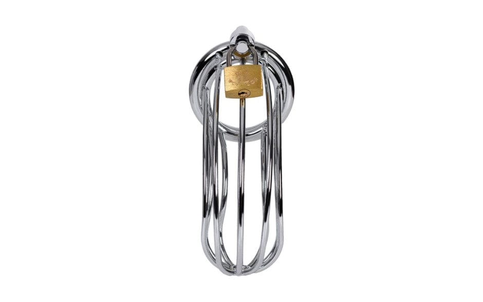 Silver Metal Birdcage Cock Cage Chastity Device