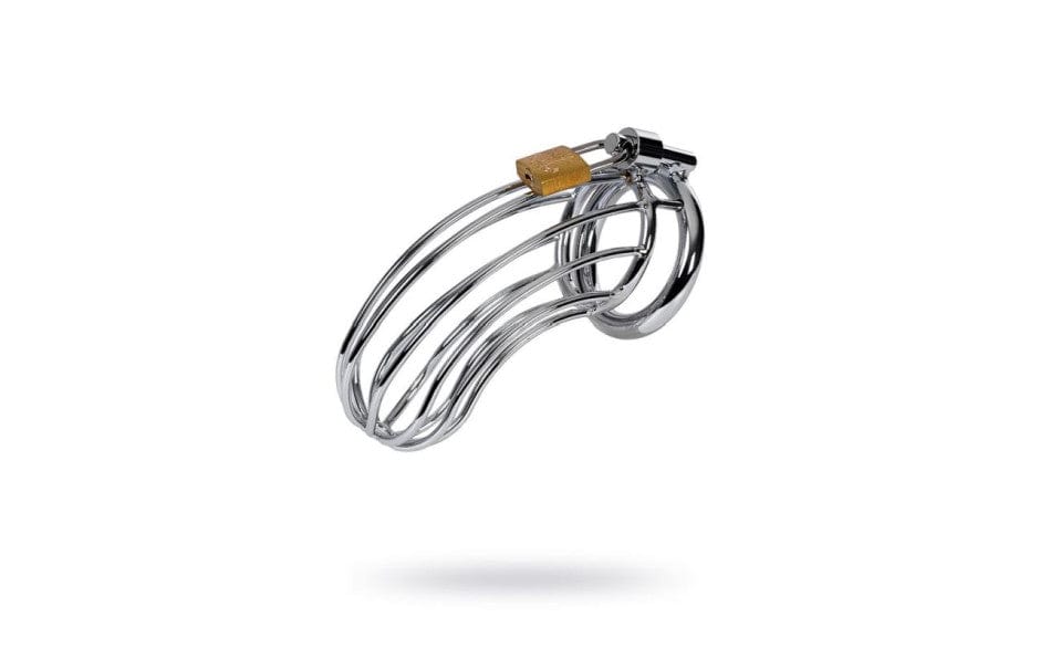 Silver Metal Birdcage Cock Cage Chastity Device