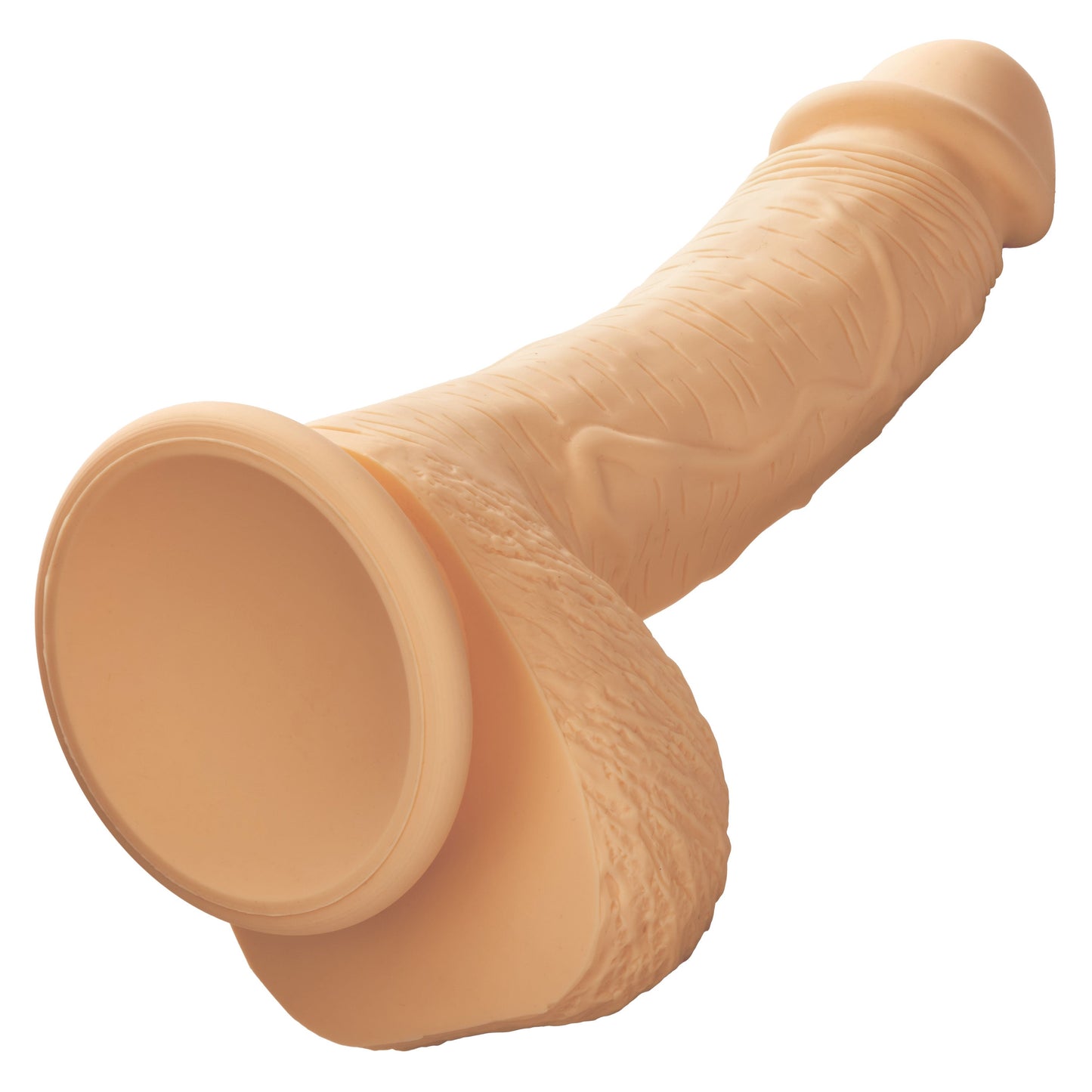 Dual Density Silicone Studs 6.25 Inch / 16 cm Ivory Realistic Flexible Design with Suction Cup Base