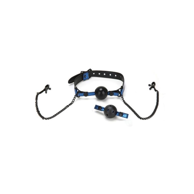 Whip Smart Diamond Ball Gag with Nipple Clips