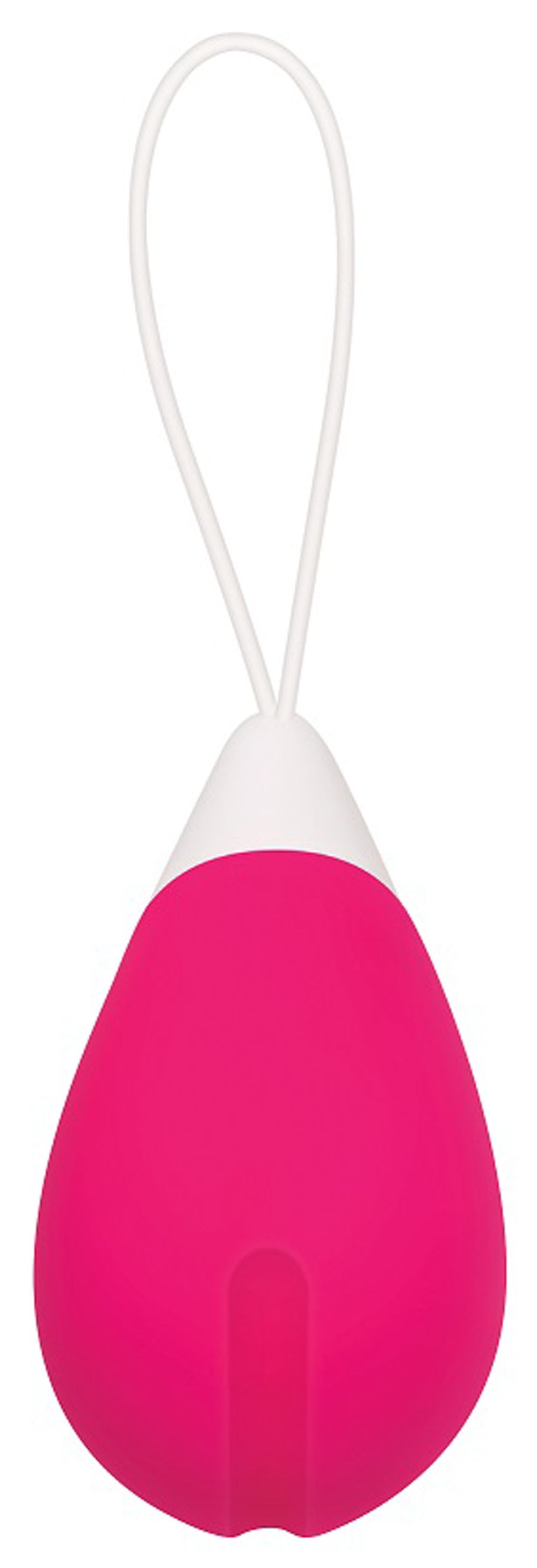 Evolved Remote Control Egg 2.5 Inch Vibrator
