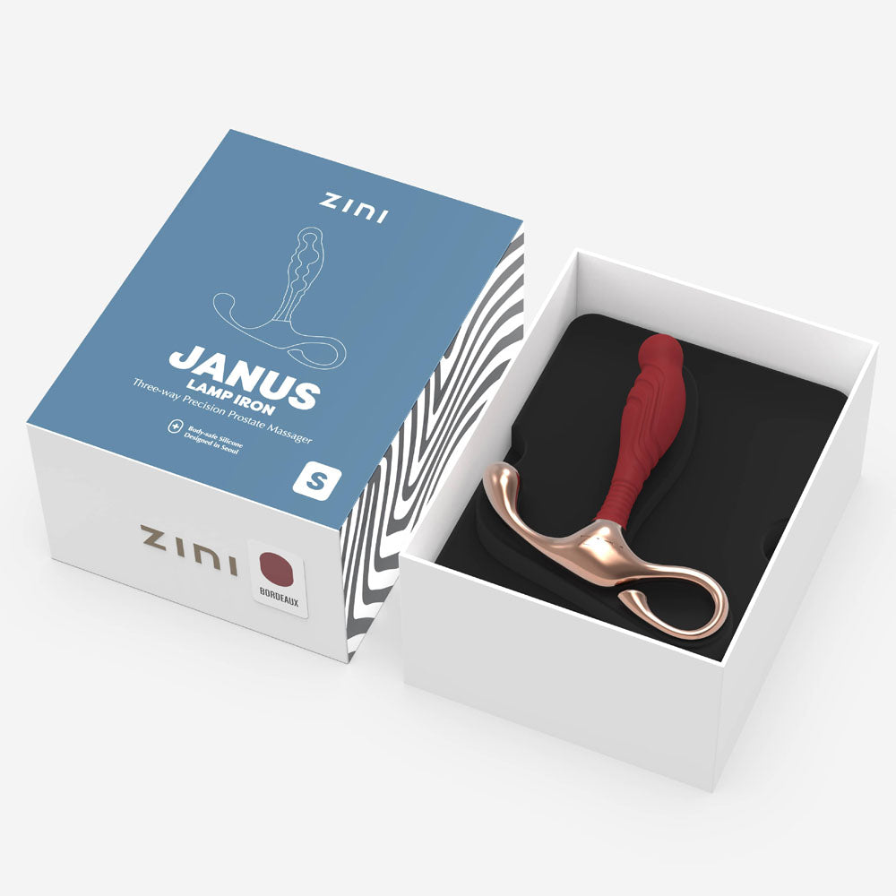 Zini Janus Lamp Iron Small Prostate Massager