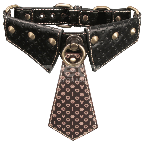 Rebellion Reign Collar with Leash – Luxury PU Leather Bondage Accessory