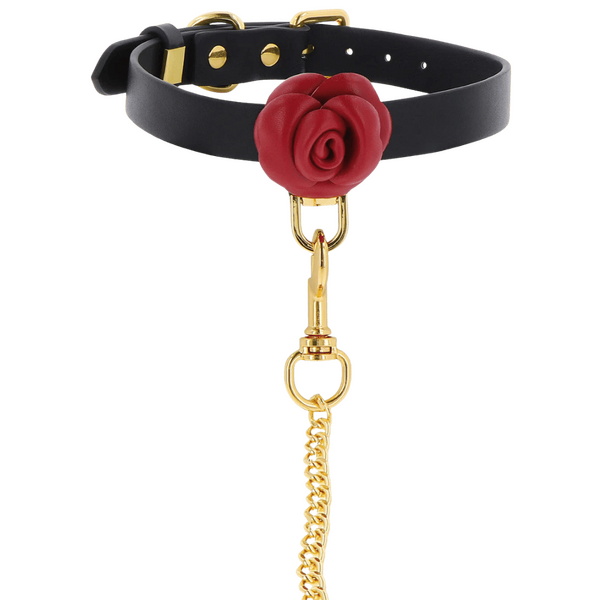 Taboom Wild Roses Collar and Leash – Faux Leather BDSM Accessories
