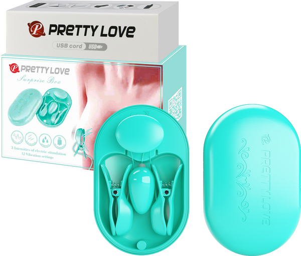 Surprise Box Nipple Clamps – Waterproof USB Rechargeable Stimulator with 12 Vibration Settings