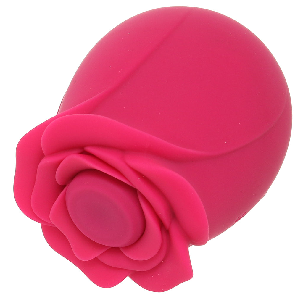 Satisfyer Pro 2 Classic Blossom Rose Vibe Vibrators > Clitoral Stimulators