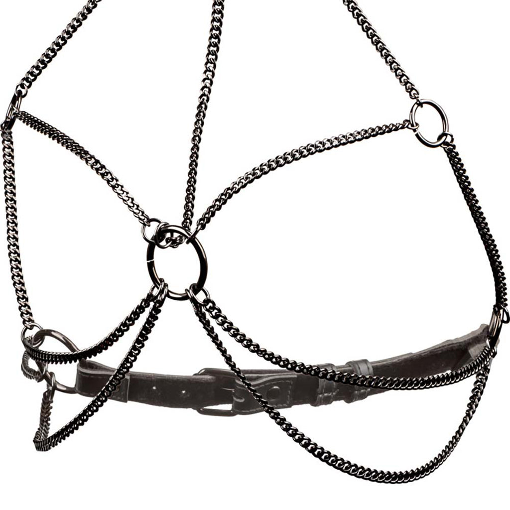 Euphoria Multi Chain Collar Harness Bondage and Fetish > Men's Bondage Wear