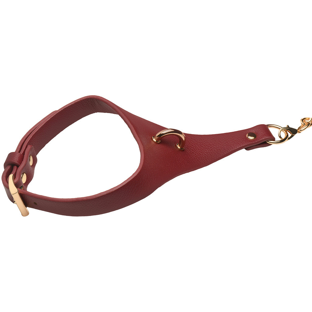 Master Series Captivate Collar with Body Chain in Red Bondage and Fetish > Leashes and Collars