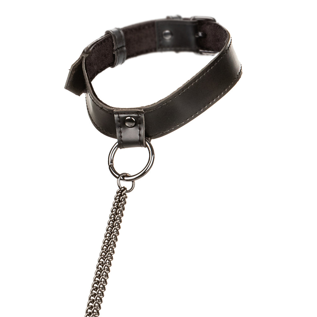 Euphoria Chain Collar & Leash Bondage and Fetish > Leashes and Collars