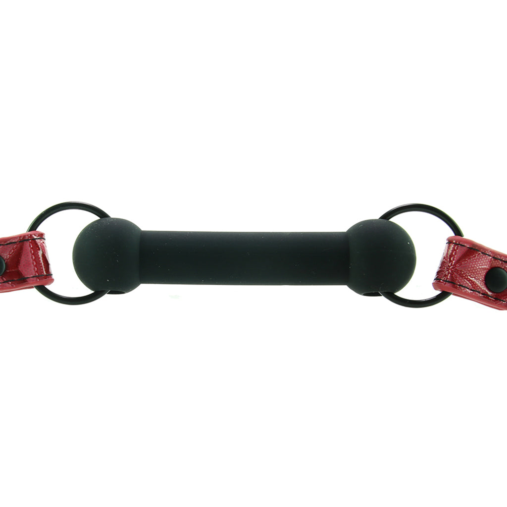 Sinful Bar Gag in Pink Bondage and Fetish > Ball Gags & Mouth Restraints