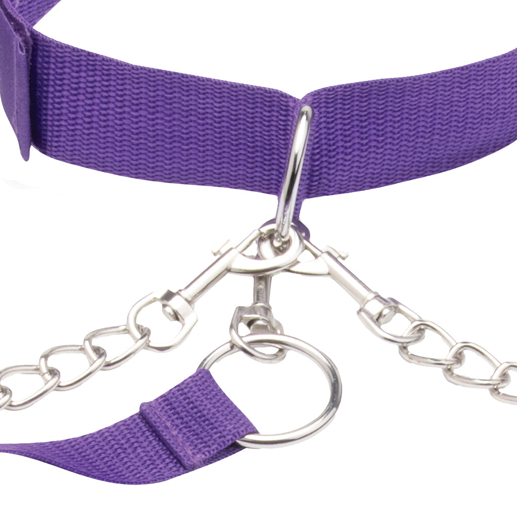Collar, Cuff & Leash Set in Purple Bondage and Fetish > Leashes and Collars