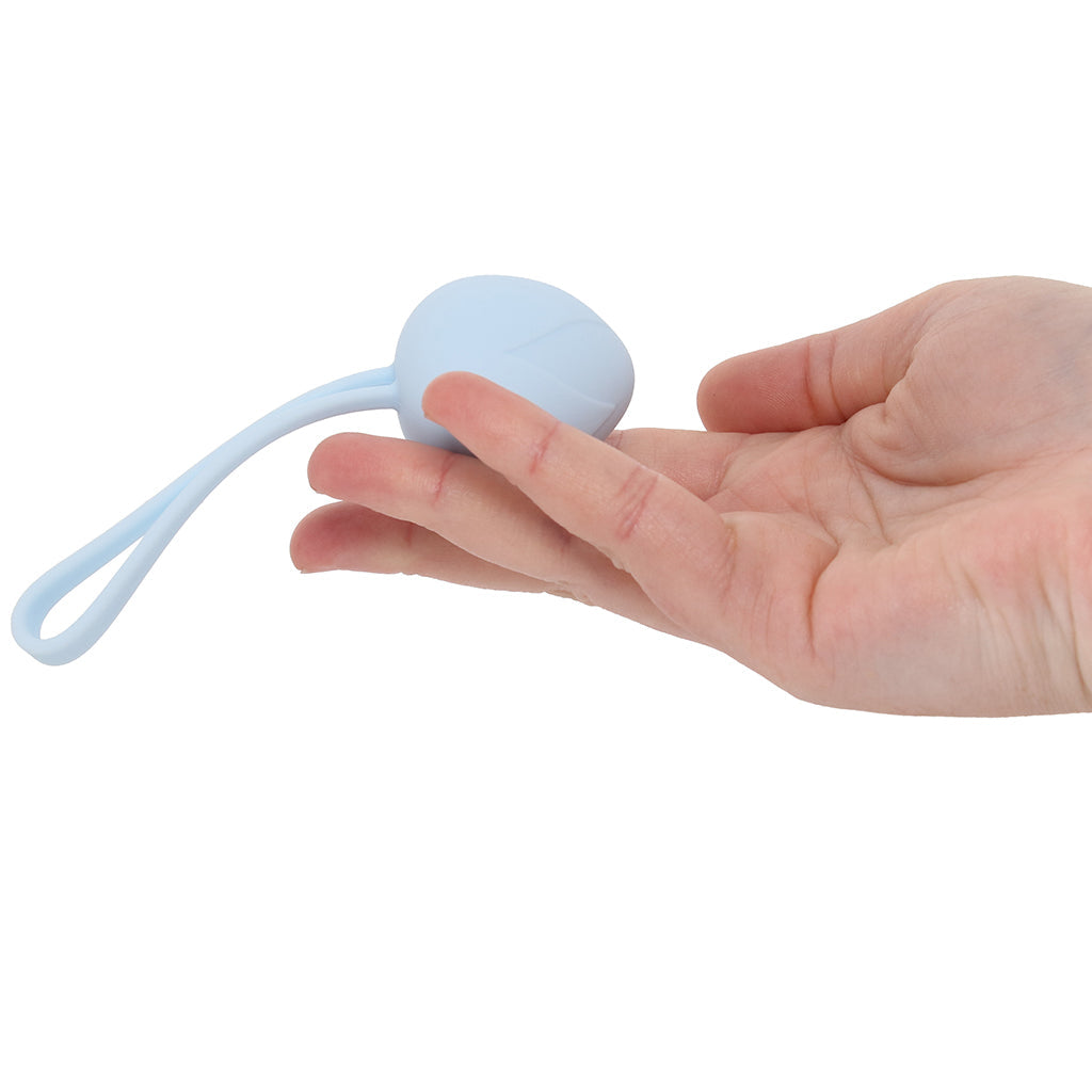 Loveline Pelvifit Berry Kegel Kit Kegel, Ben Wa and Pelvic Health Tools