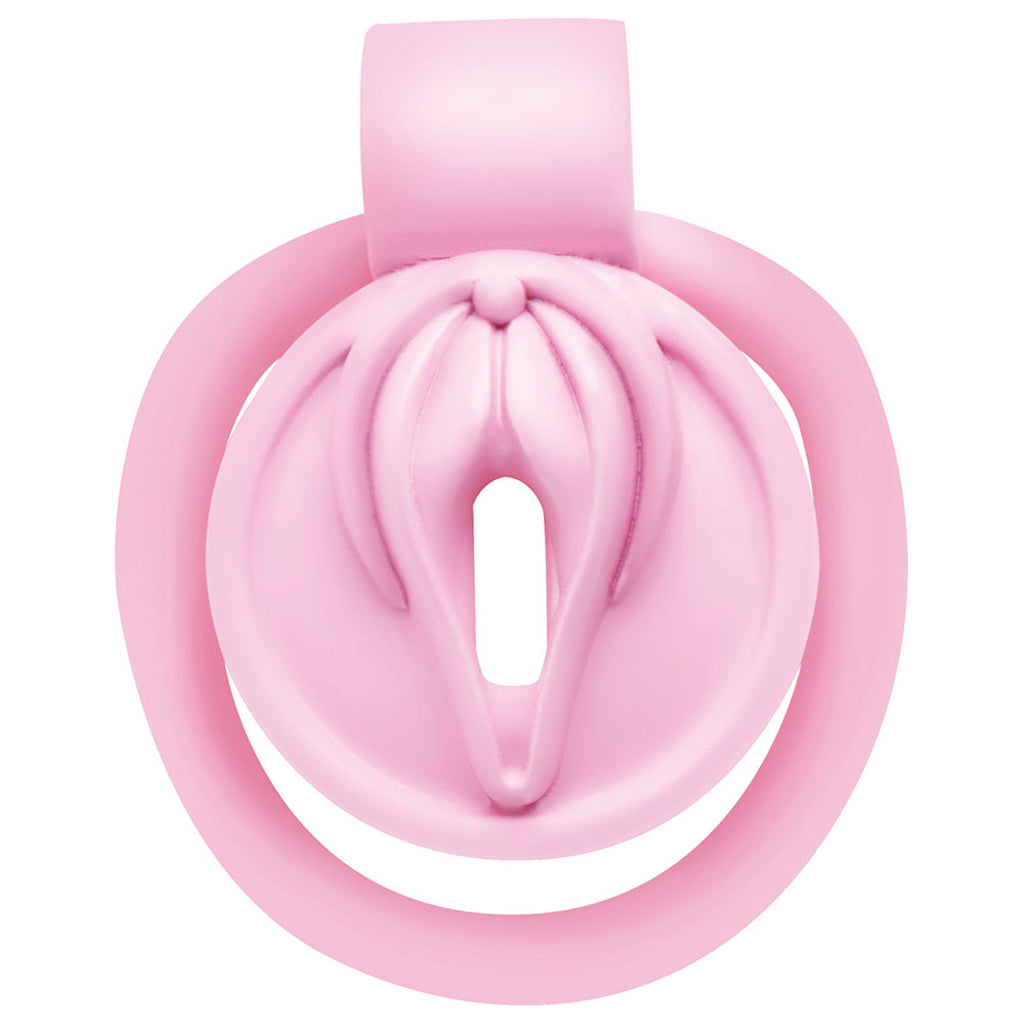 Master Series Pussification Vulva Chastity Cage Bondage and Fetish > Cock and Ball Devices