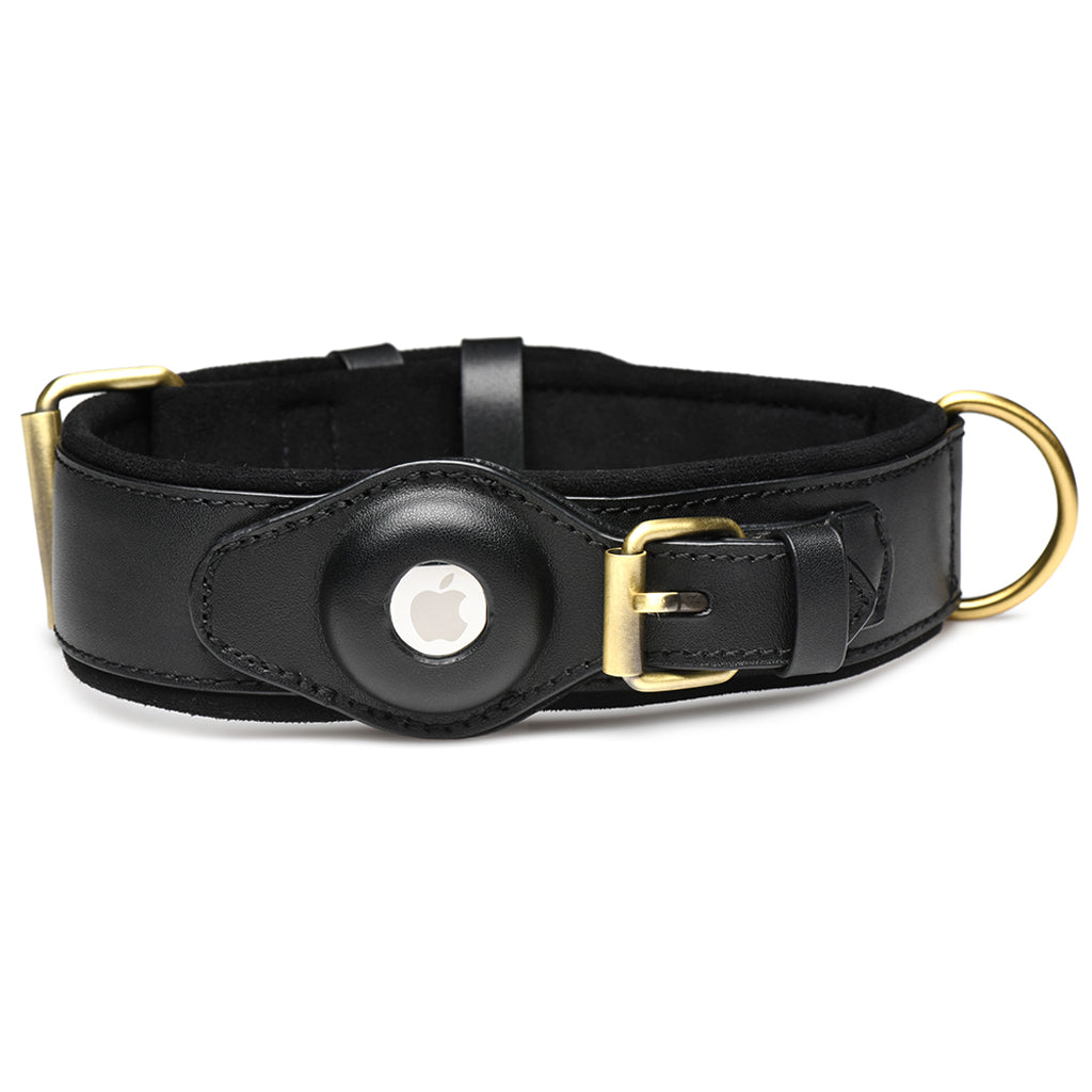 Master Series Tracer Tracking Collar Bondage and Fetish > Leashes and Collars