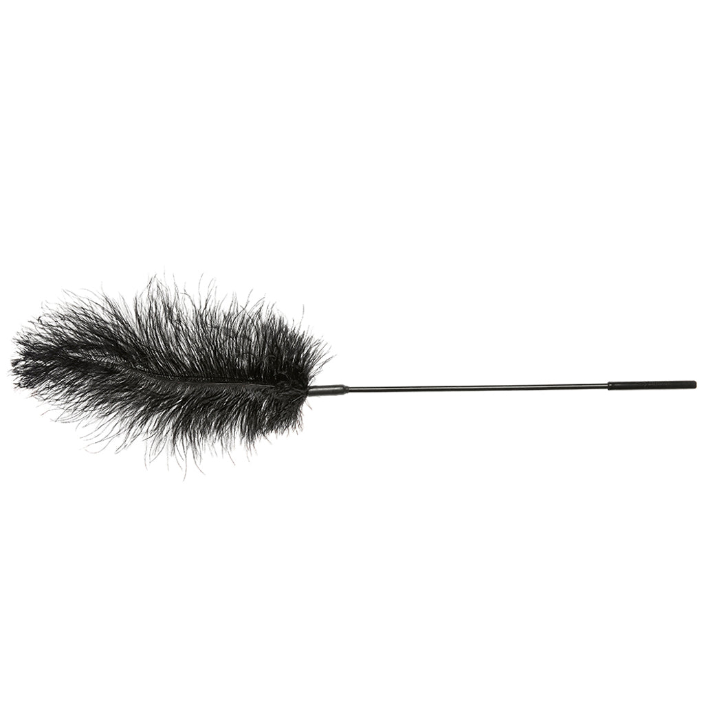 Ostrich Feather Body Tickler in Black Bondage and Fetish > Tools & Accessories