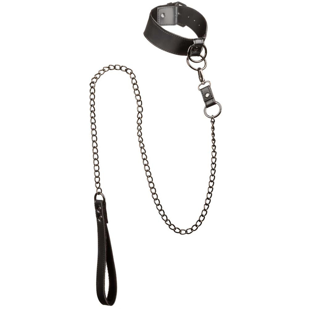 Euphoria Collar With Chain Leash Bondage and Fetish > Leashes and Collars