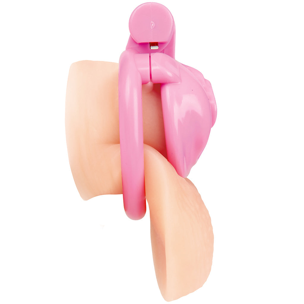 Blueline Bitchboy Degrading Mini Chastity Cage Bondage and Fetish > Cock and Ball Devices
