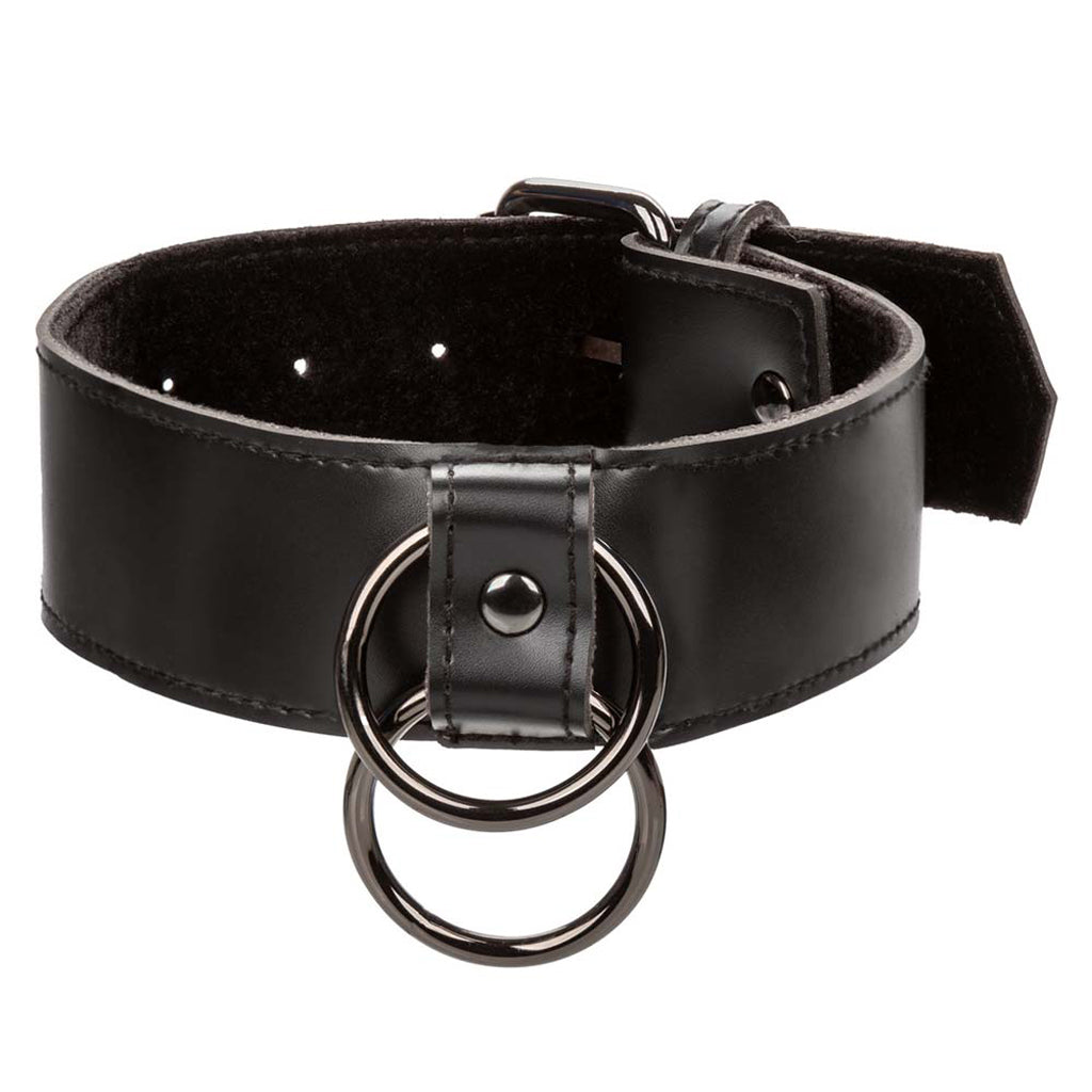 Euphoria Collar With Chain Leash Bondage and Fetish > Leashes and Collars