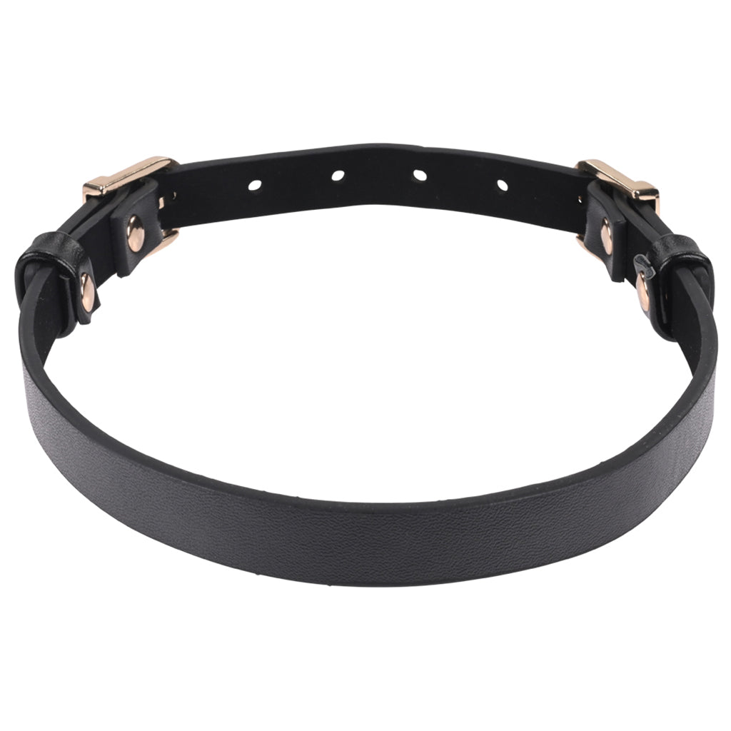 Sex & Mischief Double Buckle Day Collar Bondage and Fetish > Leashes and Collars