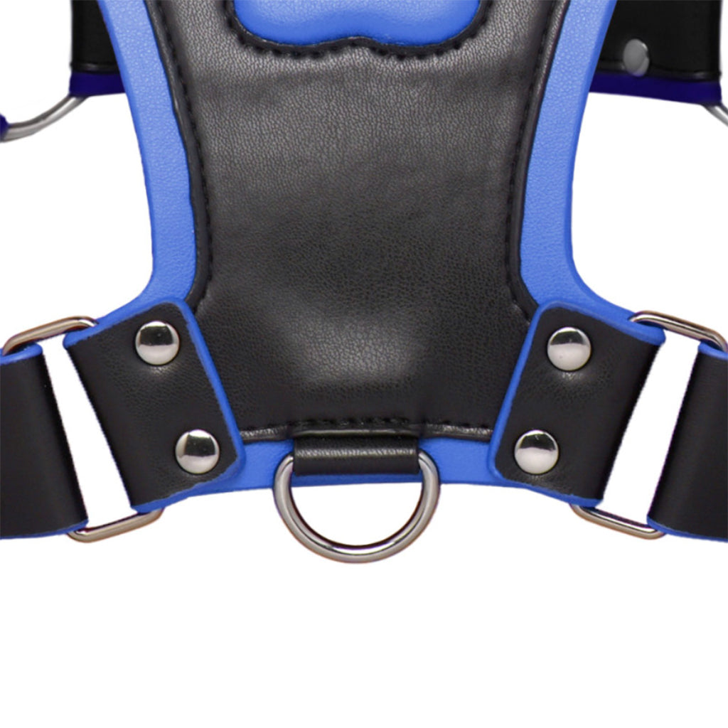 Master Series Alpha Pup Bulldog Harness in Blue Bondage and Fetish > Men's Bondage Wear