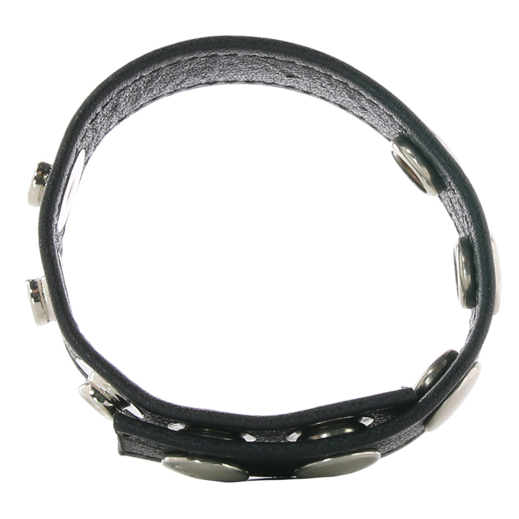 Colt 5 Snap Leather Cock Ring Cock Rings