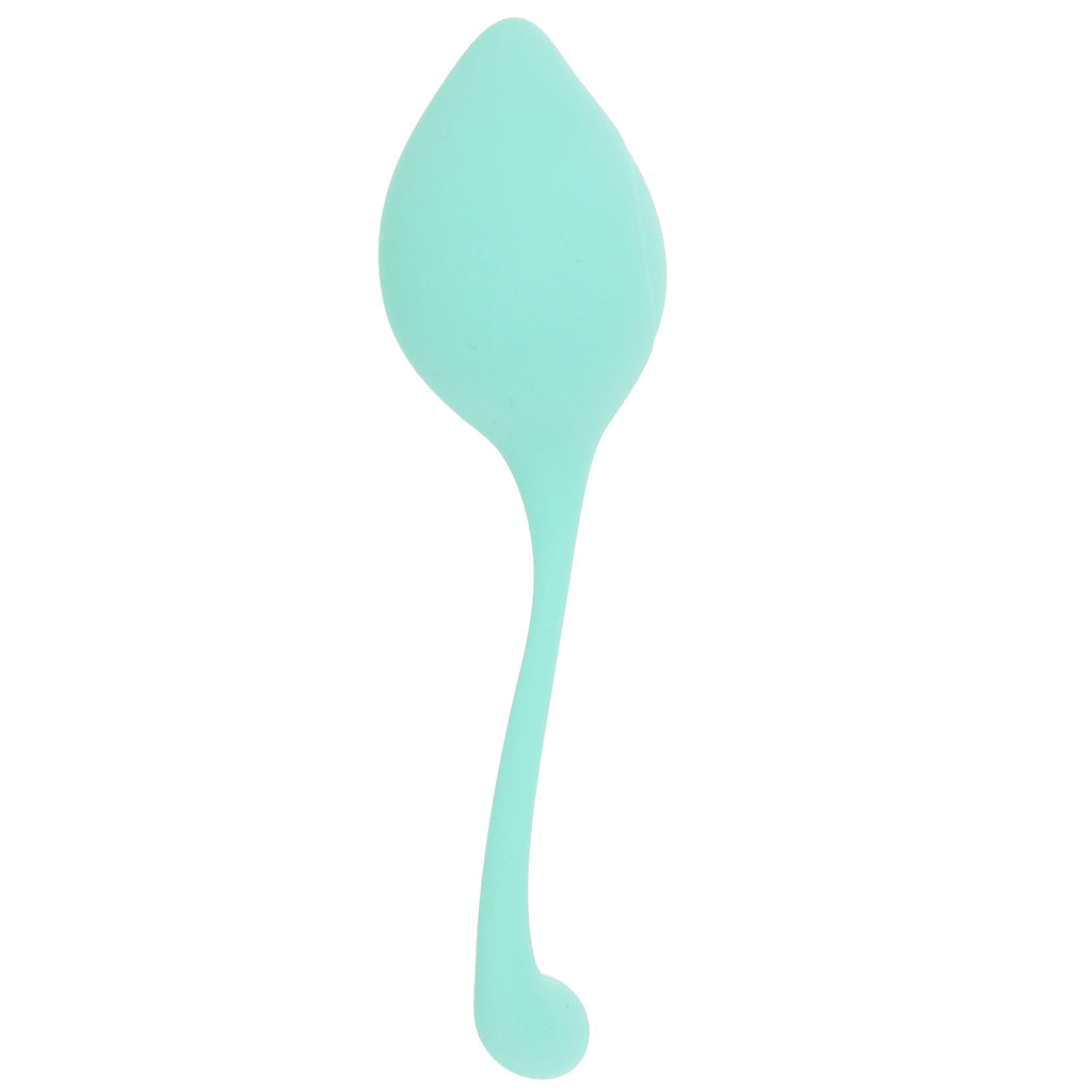 Loveline Pelvifit Stem Kegel Kit Kegel, Ben Wa and Pelvic Health Tools