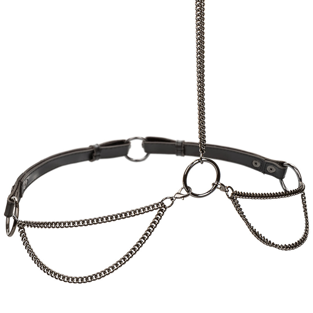 Euphoria Chain Collar & Leash XL Bondage and Fetish > Leashes and Collars