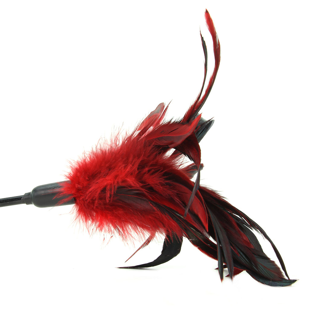 Starburst Feather Body Tickler in Red Bondage and Fetish > Tools & Accessories