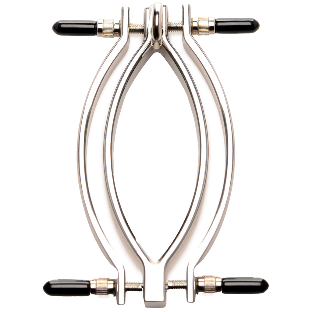 Master Series Pussy Tugger Pussy Clamp and Leash Bondage and Fetish > Restraints