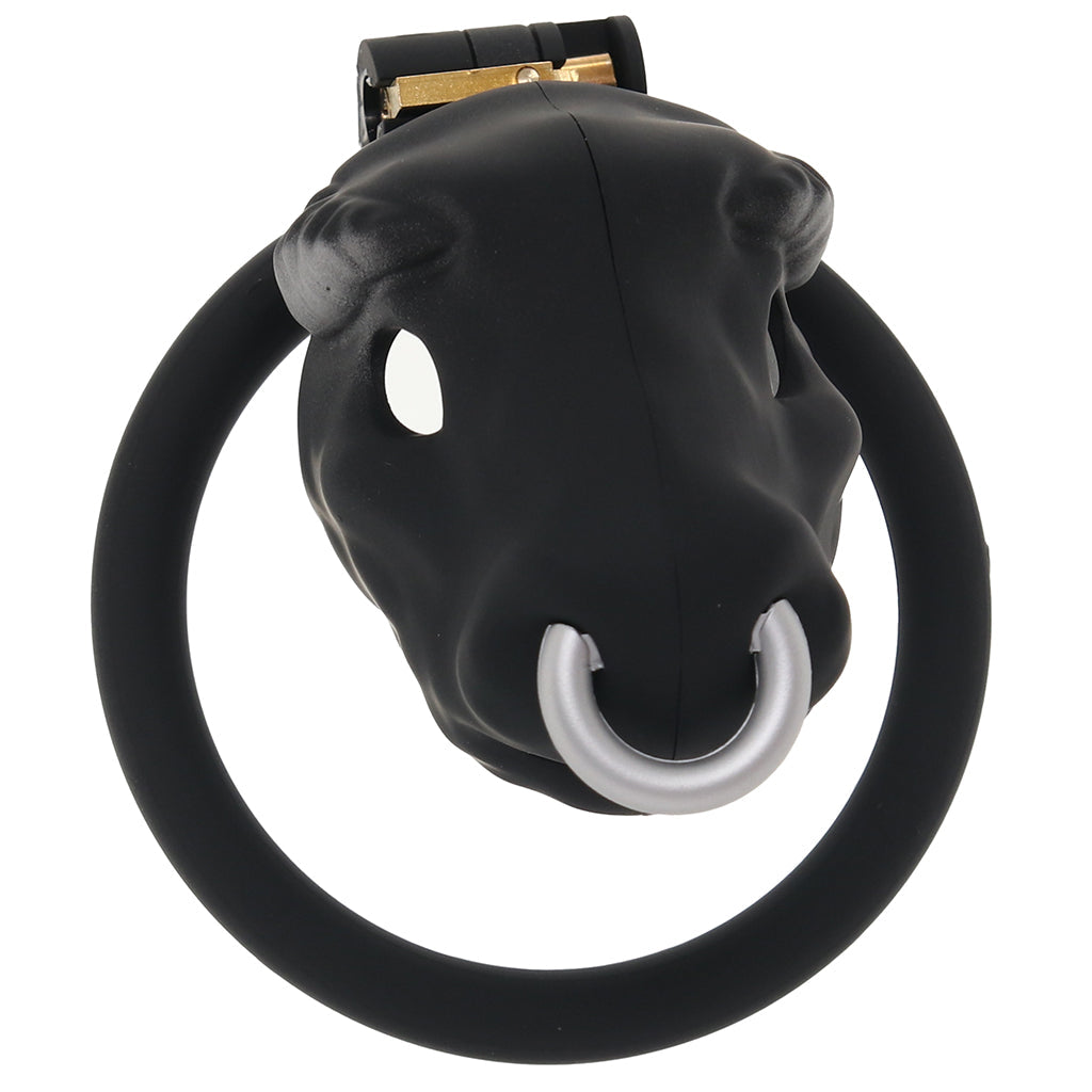 Master Series Bull Chastity Cage Bondage and Fetish > Cock and Ball Devices