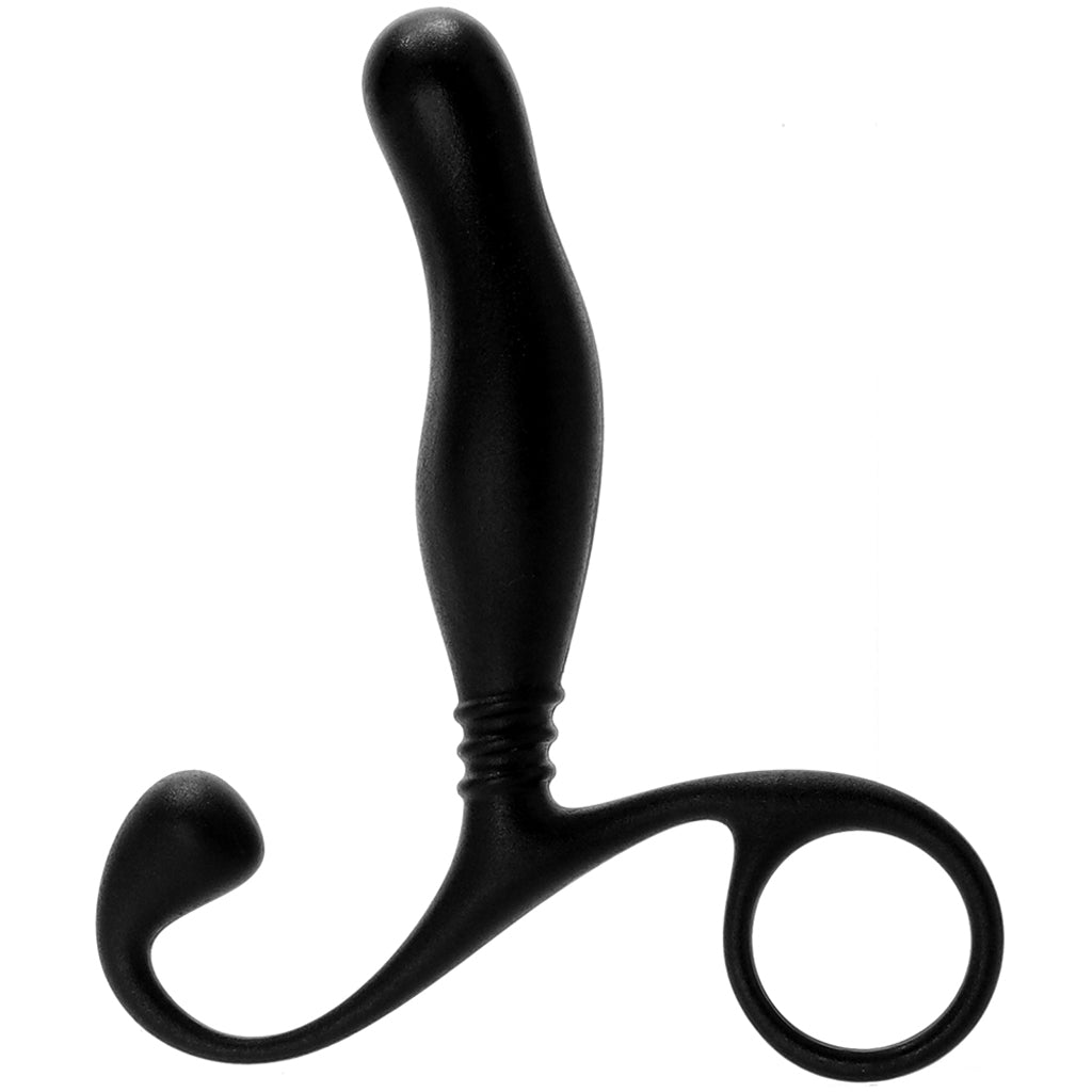 Prostate Massager In A Bag Anal Sex Toys > Prostate Massagers