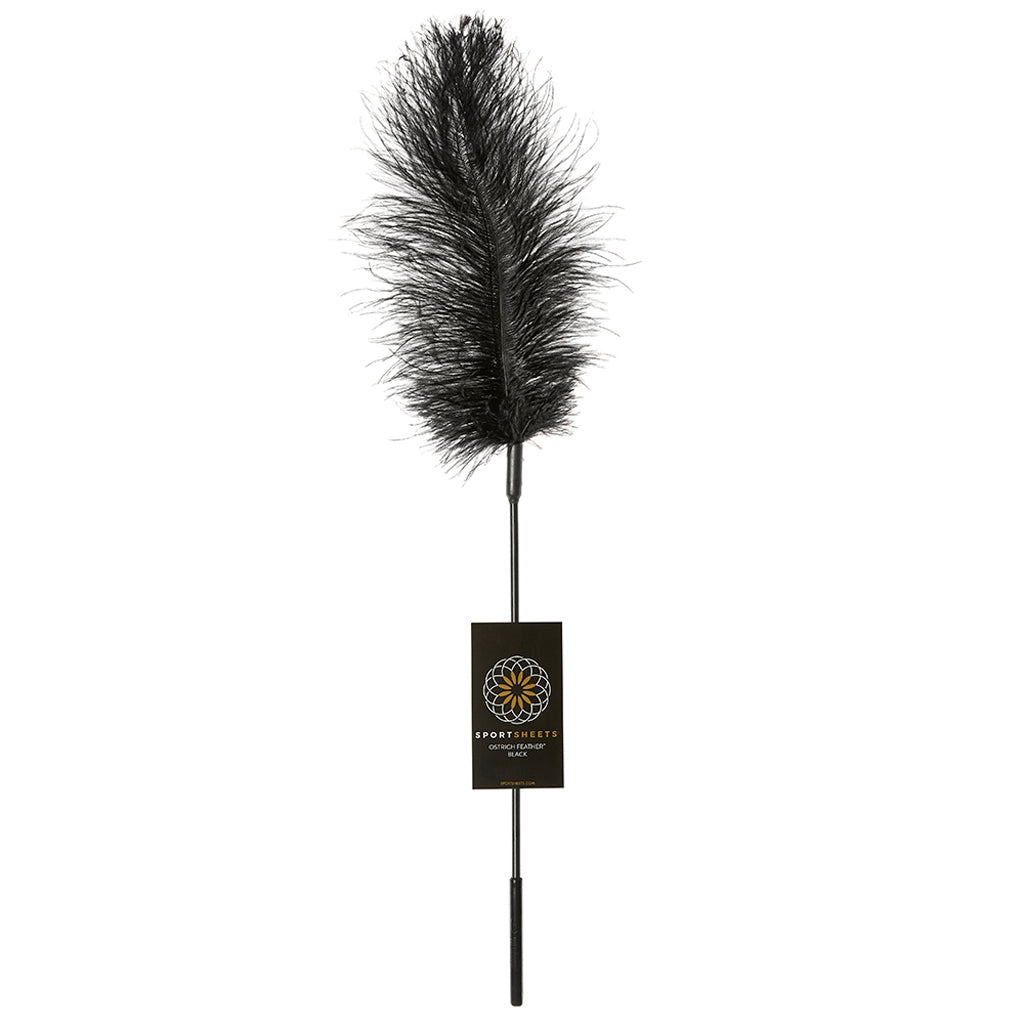 Ostrich Feather Body Tickler in Black Bondage and Fetish > Tools & Accessories
