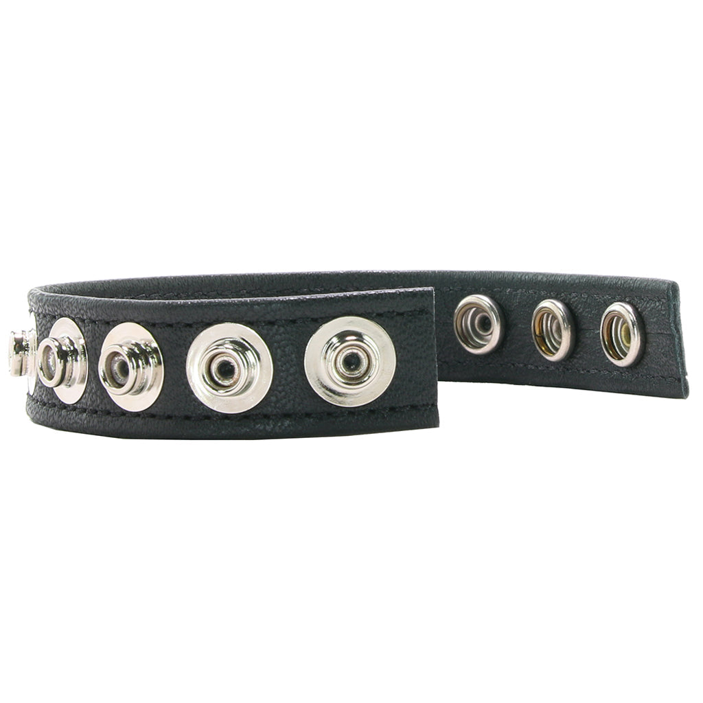 Colt 5 Snap Leather Cock Ring Cock Rings