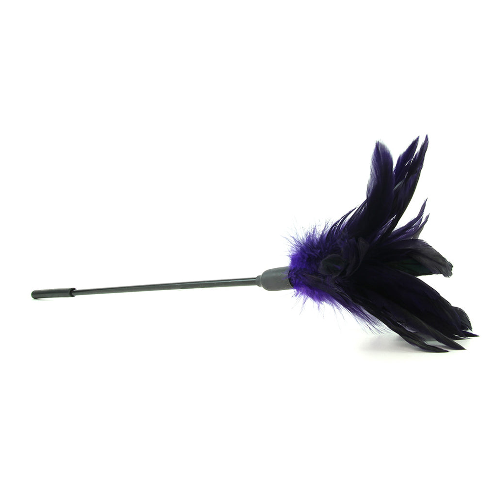 Starburst Feather Body Tickler in Violet Bondage and Fetish > Tools & Accessories