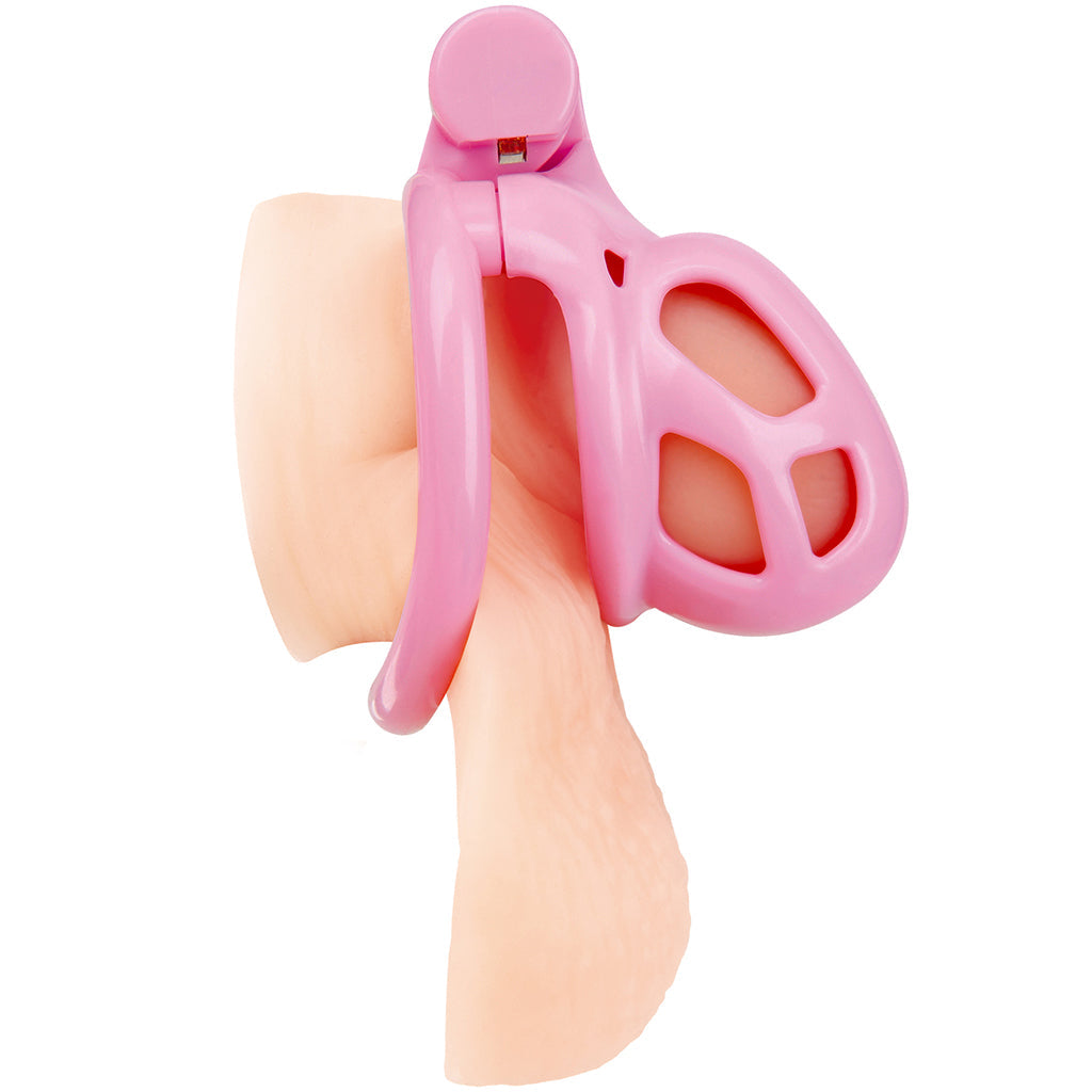 Blueline Small Pink Humiliation Prisoner Cock Cage Bondage and Fetish > Cock and Ball Devices