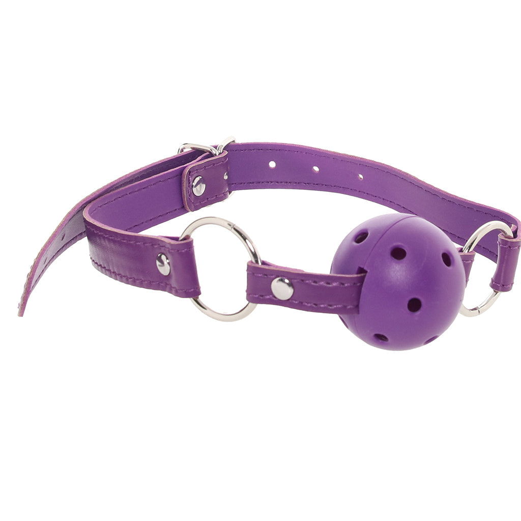 Whipsmart 12 Piece Everything You Need Bondage Kit Bondage and Fetish > Starter BDSM Kits
